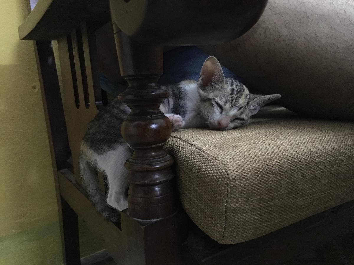 Nha Homestay Da Nang Luaran gambar