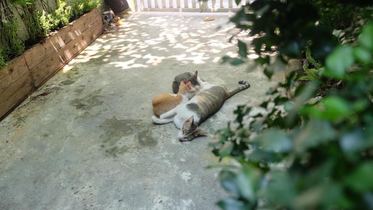 Nha Homestay Da Nang Luaran gambar