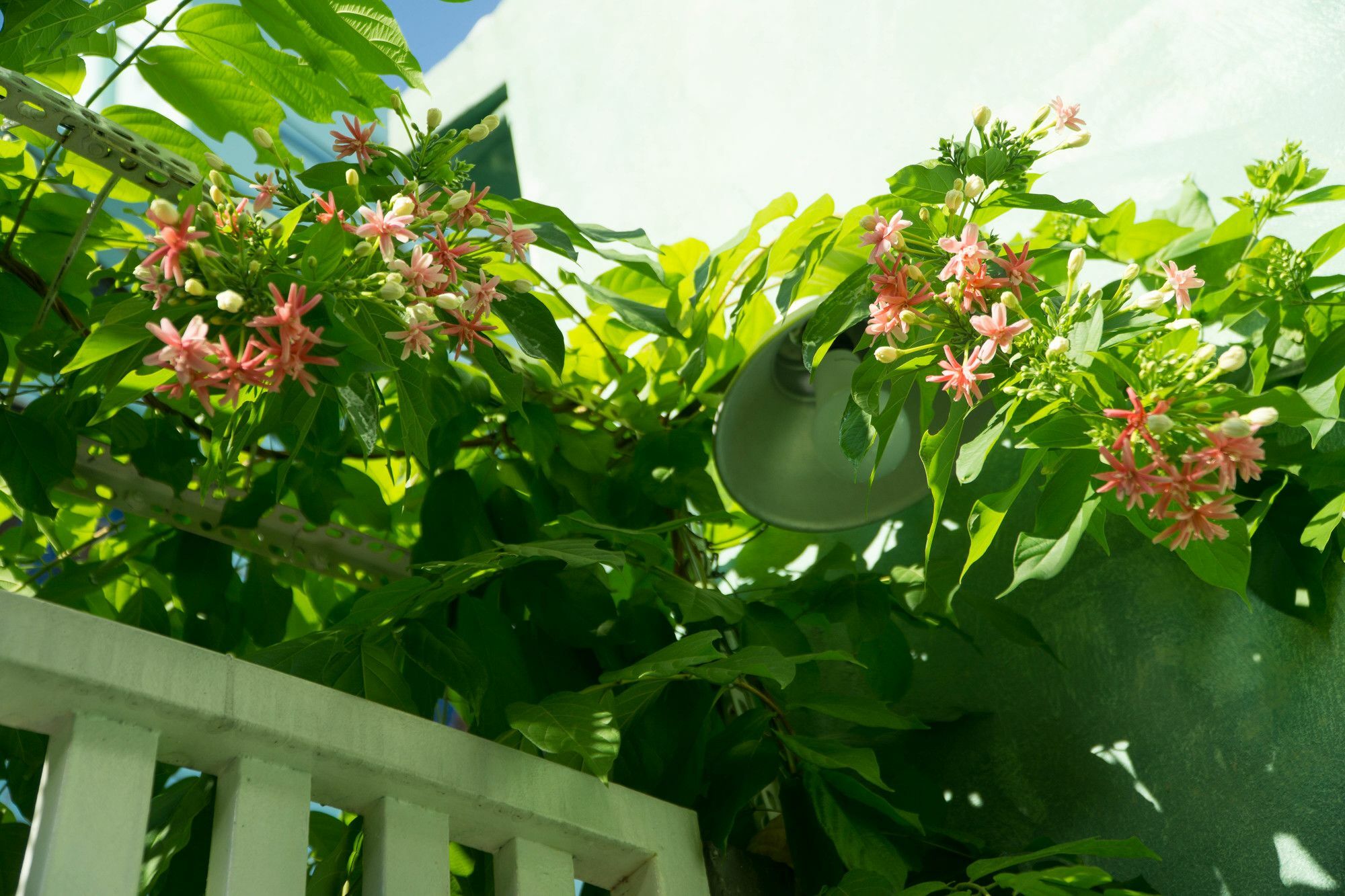 Nha Homestay Da Nang Luaran gambar